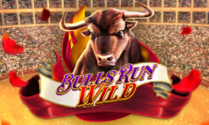 hm88 asia hm88 Bulls Run Wild